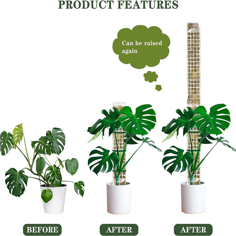 ertical Jungle Kit stackable moss pole with monstera aerial roots.