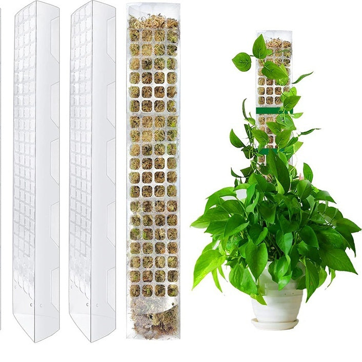 ertical Jungle Kit stackable moss pole with monstera aerial roots.
