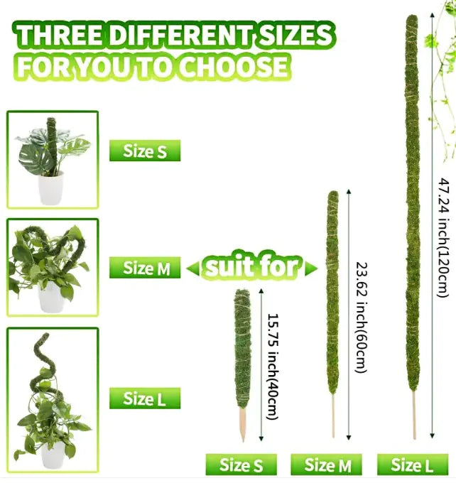 Bendable Moss Pole Climbing Plants