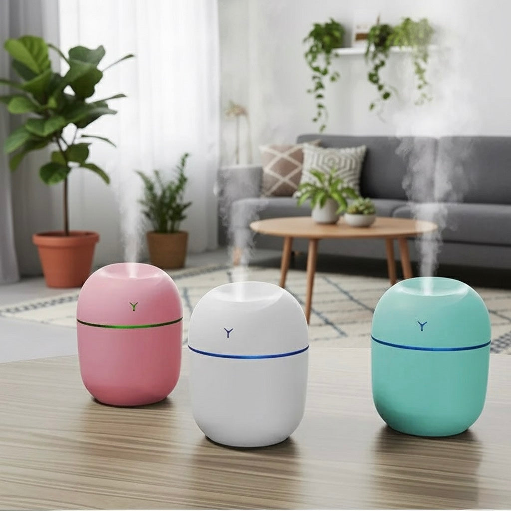 Mini Mist – Ultrasonic USB Humidifier for Houseplants