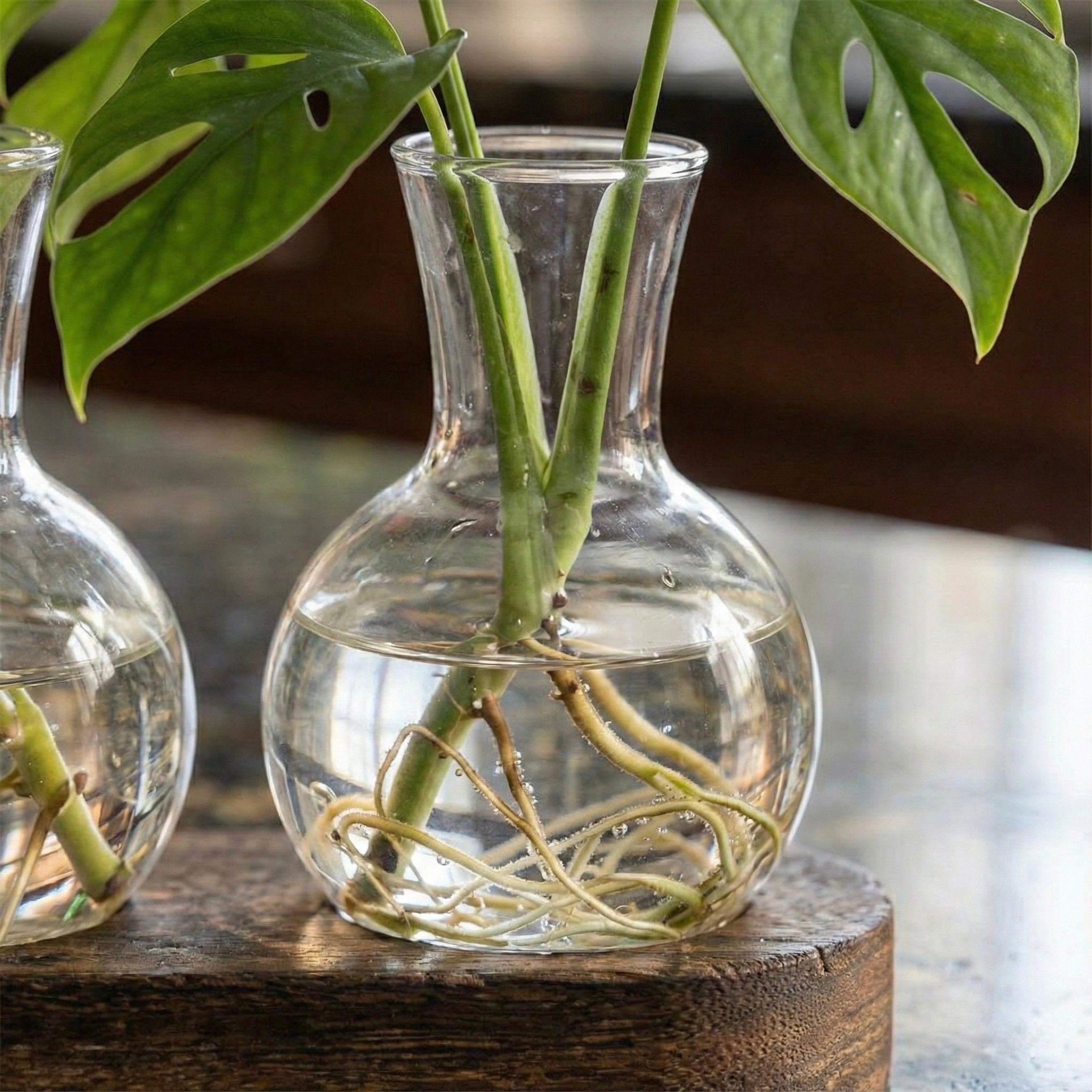 Infinite Plant Prop Kit (Propagation Station + Snips)