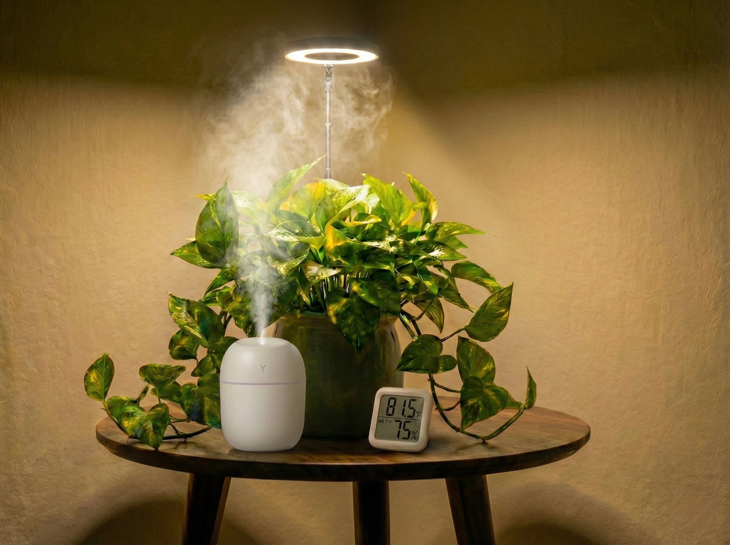 The Halo Grow Light | Winter Survival System