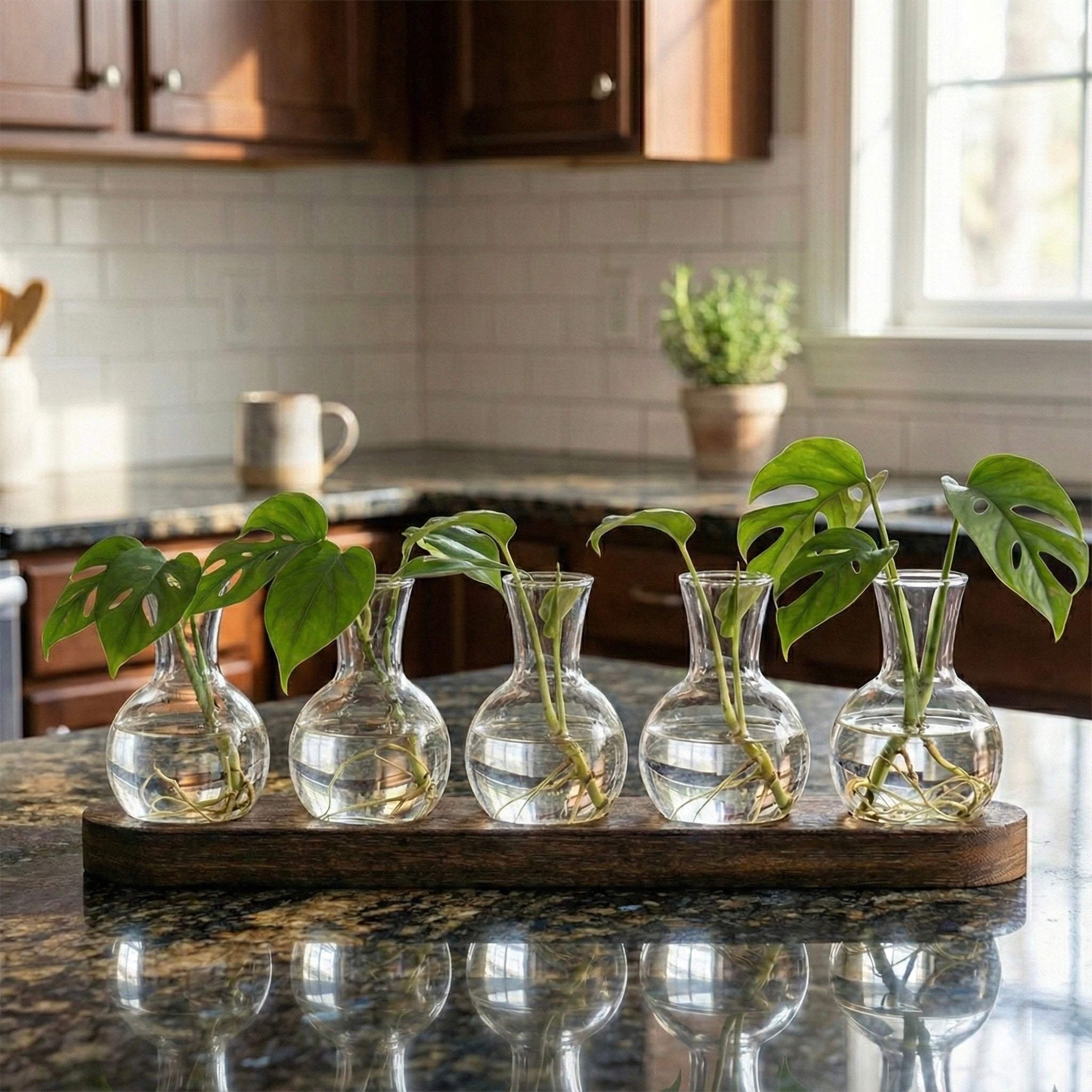 Infinite Plant Prop Kit (Propagation Station + Snips)