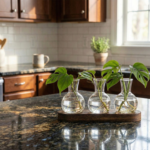 Infinite Plant Prop Kit (Propagation Station + Snips)