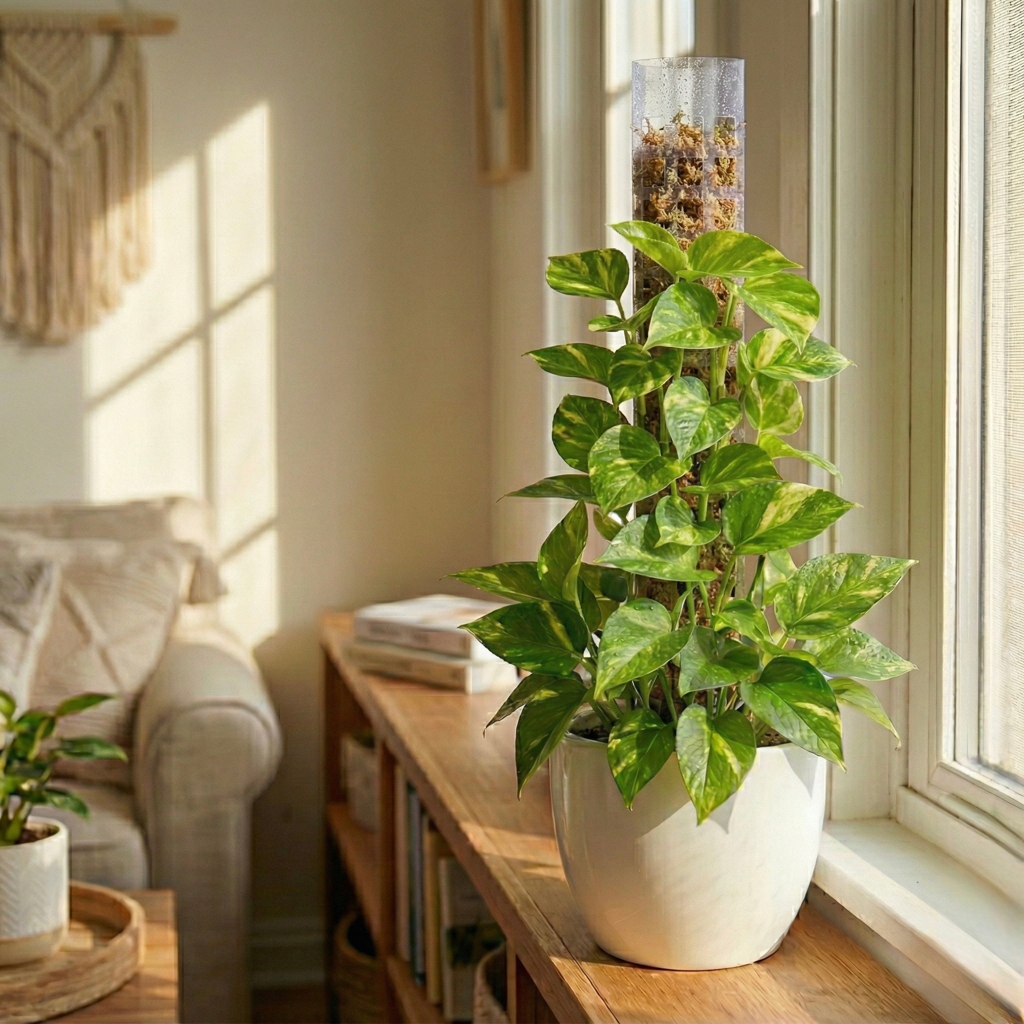 The Vertical Jungle Kit | Stackable Mesh System