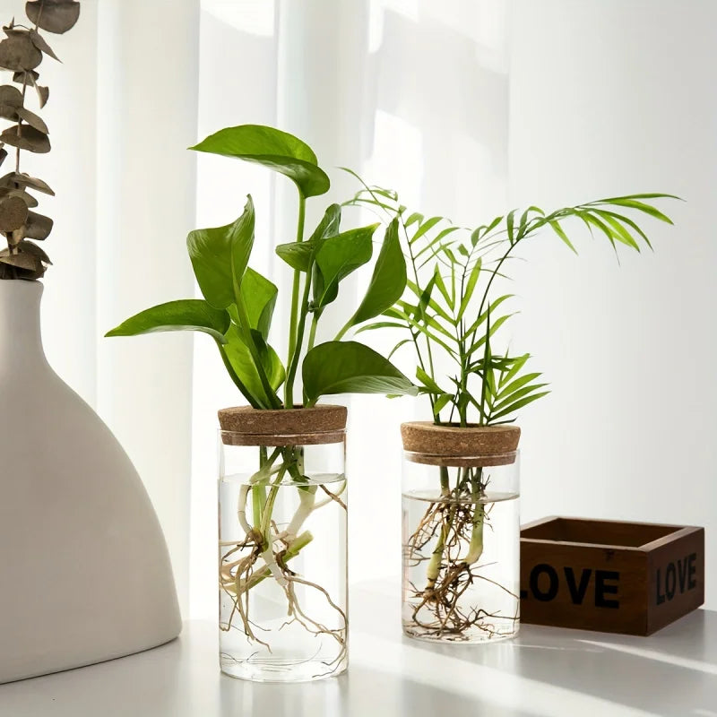 Hydroponics Plants Desktop Glass Planter Vase For Home