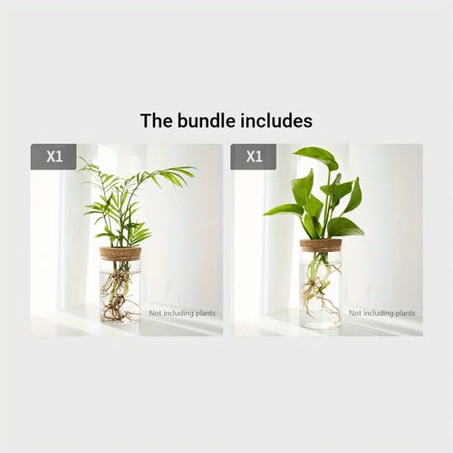 Hydroponics Plants Desktop Glass Planter Vase For Home