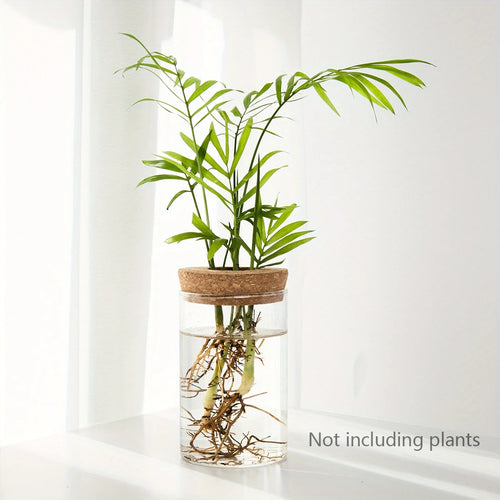 Hydroponics Plants Desktop Glass Planter Vase For Home