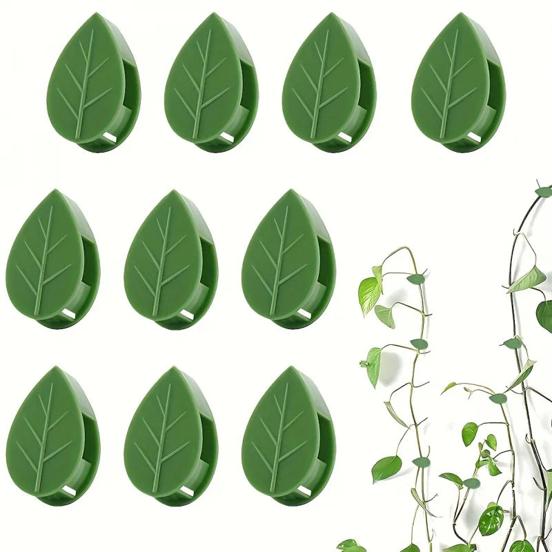 Plant Climbing Wall Fixture Clips (10pcs)