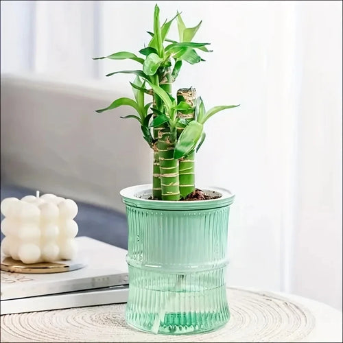 Lazy Hydroponic Flower Pot Automatic Water-Absorbing Flowerpot