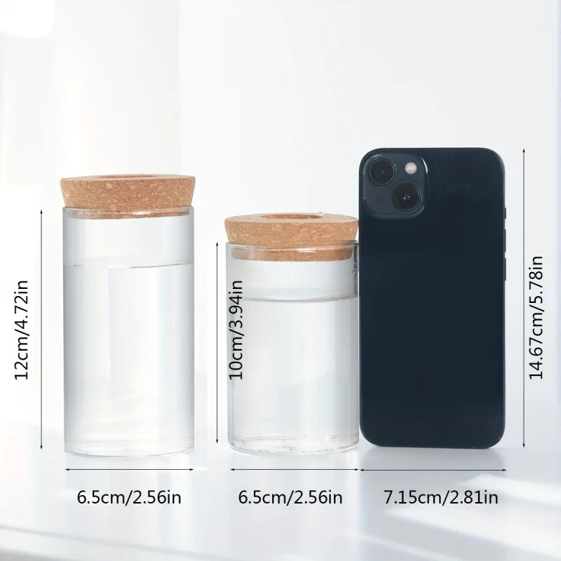 Hydroponics Plants Desktop Glass Planter Vase For Home