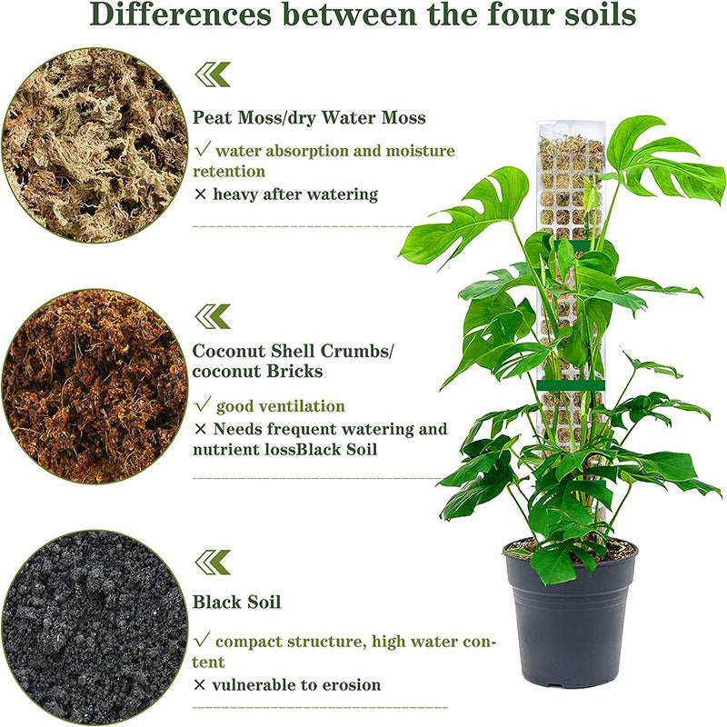 ertical Jungle Kit stackable moss pole with monstera aerial roots.