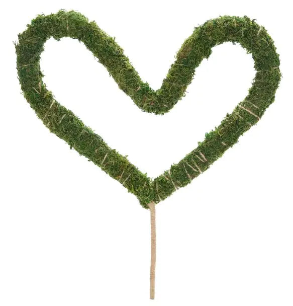 Bendable Moss Pole Climbing Plants