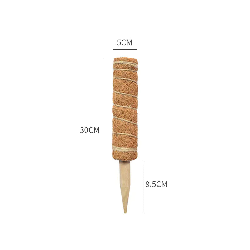 Moss Pole for Climbing Houseplants