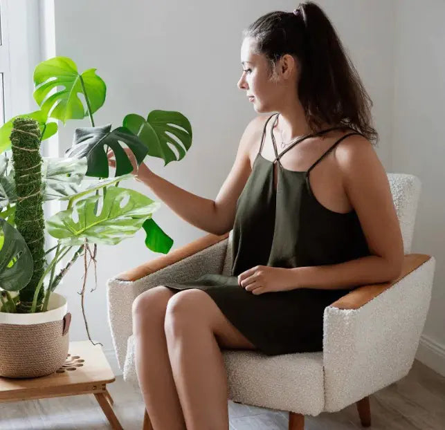 Bendable Moss Pole Climbing Plants