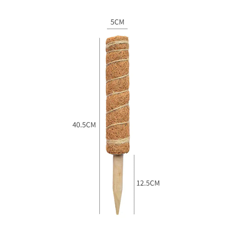 Moss Pole for Climbing Houseplants