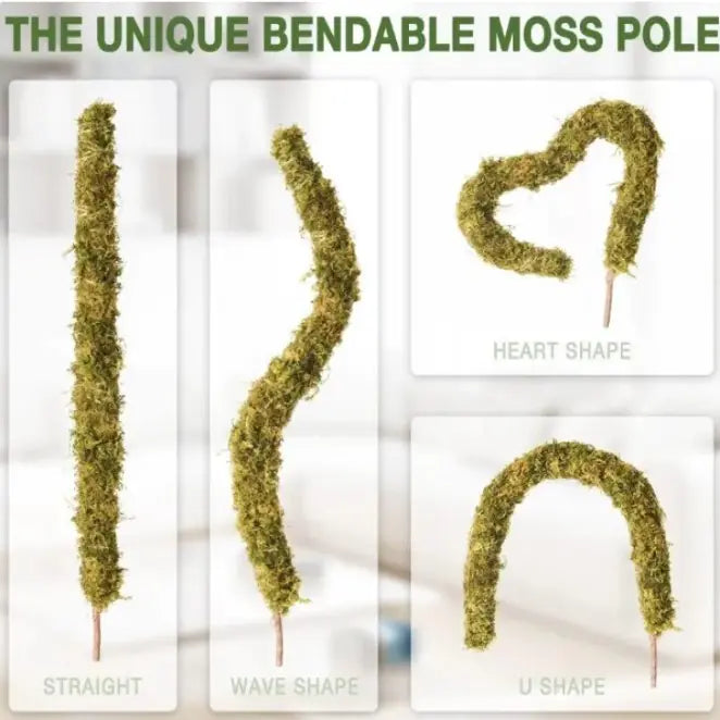 Bendable Moss Pole Climbing Plants